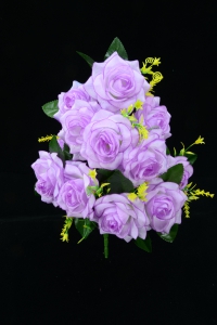 Lavender Open Rose Bush x12  (Lot of 1) SALE ITEM